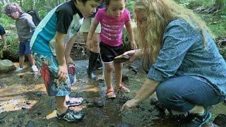 Investigating Rocks