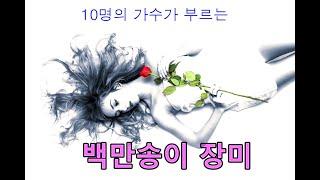 10명의 가수가 부르는 백만송이 장미