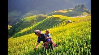 10 best places for homestay in Vietnam