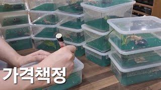 요런 저려미들로 시작해보세요