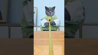 Dare To Try The Fastest Candy Eating Hack? #funnycat #catmemes #trending