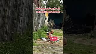 Sư Minh Tuệ nhìn thấy thương quá | KuBin #thichminhtue #shortvideo