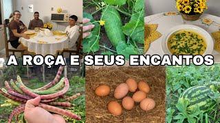 A roça com suas belezas e farturas/ fiz creme de milho com frango -plantas nova- familia na mesa