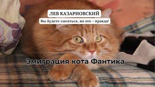 ЭМИГРАЦИЯ КОТА ФАНТИКА (Вы будете смеяться, но это - правда)