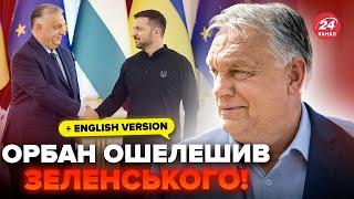 ️Just now! Orban proposed a "ceasefire" to Zelenskyy. President's reaction