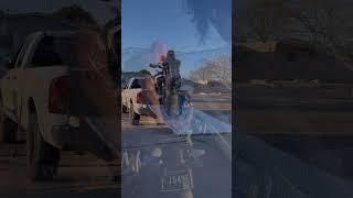 Two boxer GS’s in my pickup