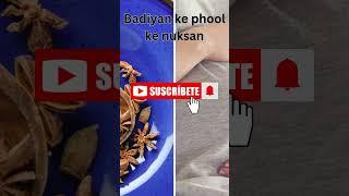 Badiyan Ke Phool Ke Fayde| Star Anise Side Effects| Dietitian Ayesha Razzaq #nutritionist #dietitian