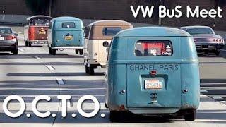 OCTO VW BUS MEET 2023 Long Beach CA over 350 buses