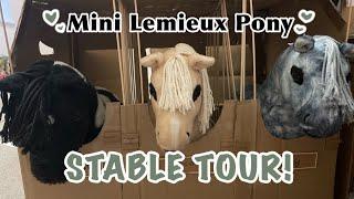 Mini Lemieux Pony STABLE TOUR!