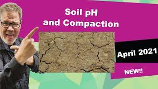 Compacted Soil and pH Problems In Lawns Feat. Jonathan Green Experts