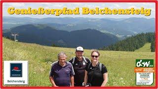 Belchensteig feat. wildlife-TV | Deutschlands schönster Wanderweg 2020 [2,7K]