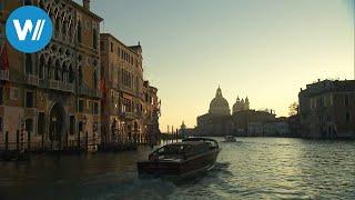 Hinter den Kulissen von Venedig (360° - GEO Reportage)