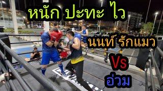 หนัก ปะทะ ไว นท์ รักแมว Vs อ่วม