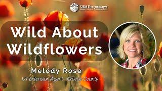 Wild About Wildflowers, with Melody Rose