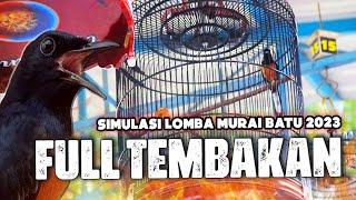 SIMULASI LOMBA MURAI BATU FULL TEMBAKAN PANJANG TERBARU 2023