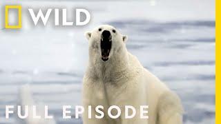 We were being hunted... (Full Episode) | Something Bit Me | Nat Geo WILD