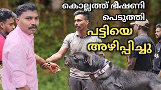 കടിക്കുന്ന പട്ടിയെ അഴിക്കണം പോലും...Dog challenge.. Leash Talks