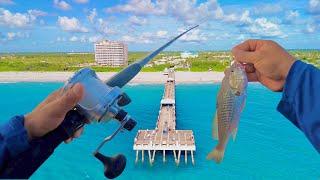 Dropping BIG Baits for Giants under Florida most popular  pier.