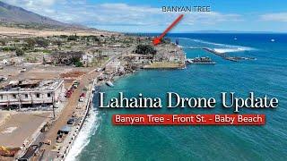 Lahaina DRONE Update - September 2024 - Banyan Tree, Front St., Baby Beach Area