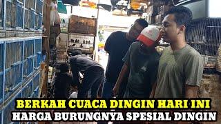 SPESIAL HARGA CUACA DINGIN DIKIOS BURUNG RUDI HARI INI!!PASAR BURUNG PRAMUKA