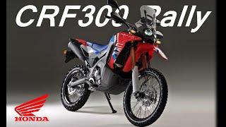 2025 Honda CRF300 Rally |TM