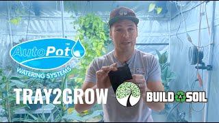 BuildASoil: *AUTOPOT* // TRAY 2 GROW: SELF WATERING BED SETUP (Product Highlight)