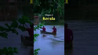 Rural Villages Of Kerala #nature #alleppy #travel #trending