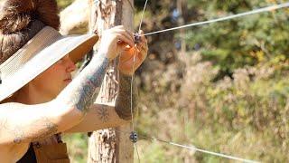 Fencing: Preparing for Goats on the Farm! 