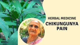 Home Remedy for Chikungunya Pain | How to make herbal medicine for Chikungunya |  Gharelu Nushkhe