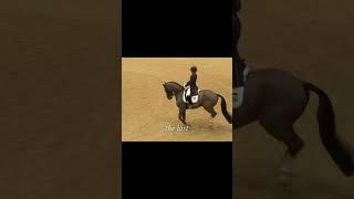 Valegro’s last performance  #equestrianvibes #horse #horsey #equestrian #riding