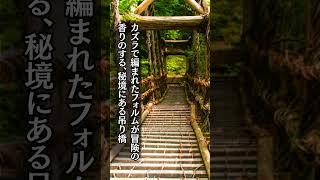 日本の吊り橋 8月号に登場したあの名吊り橋は！？無料で読める！月刊まっぷるより #Shorts