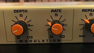 Vintage Chandler Stereo Digital Echo Sound Demo - Early 90's Delay Unit - RKFX