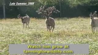 World Record Buck: Largest Whitetail EVER