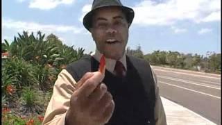 AArrow Sign Spinners & Beat the Traffic  - Teddy Hale pt 2