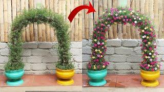 Beautiful flower gate garden ideas from plastic bottles