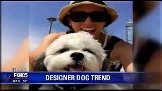 "Designer Dogs" - Dream or Deception?