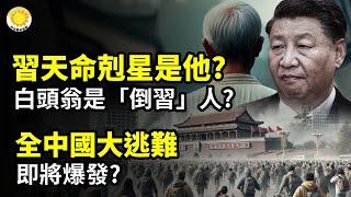 習天命剋星是他、白頭翁是「倒習」人？‍️全中國大逃難即將爆發？中國疫情攀升 多名醫生猝亡川普指示打擊不公平貿易 美國暫扣一艘中國漁船【阿波羅網CM】