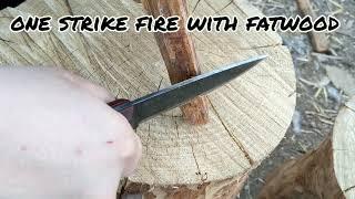 One strike fire with fatwood!