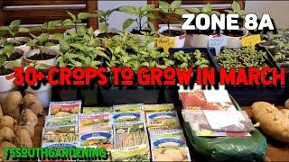 30+ Crops to Grow in March | Yard tour | Zone 8a