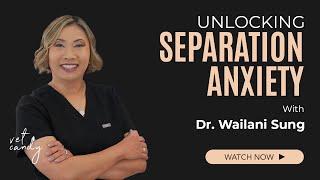 Understanding canine separation anxiety with Dr. Wailani Sung, vet behaviorist