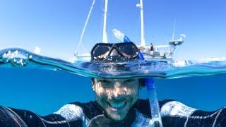 This Is Why We Love SCUBA DIVING!  Sailing Vessel Delos Ep. 130