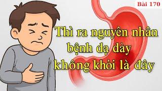 Muốn Chữa Bệnh Dạ Dày Khỏi Hoàn Toàn Không Tái Phát – Phải Phục Hồi Cả Những Cơ Quan Này