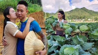 Harvesting the Cabbage garden to sell at the market - Preparing dishes from Cabbage | Peaceful life