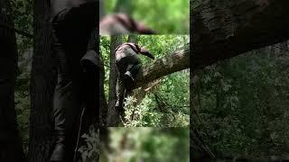 여행의 기술: 온라인 예약 시스템 활용하기