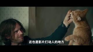 猫咪拯救不良青年，还帮其泡妞，为了铲屎君真是操碎了心