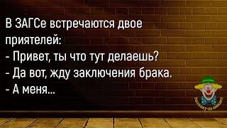 Гастроном,Очередь В Кассу...Большой Сборник Смешных Анекдотов,Для Супер Настроения!