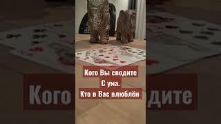 КОГО ВЫ СВОДИТЕ С УМА КТО ВЛЮБЛЁН В ВАС #никкиами #цыганскиегадания