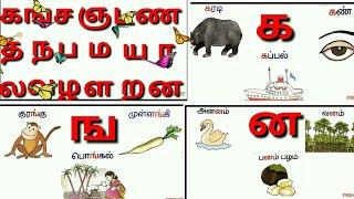 உயிர் மெய் எழத்துக்கள்/Tamil Alphabets,Uyir Mei ezhuth ka varisai/க ங ச,, |ka varisai sorkkal/prinit