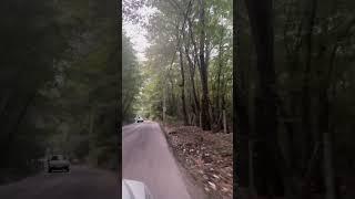 Uncovering Noor Forest Park: A Breathtaking Nature Escape in Iran "2024