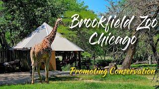 Brookfield Zoo Chicago (Brookfield, Illinois) - Season 2 | Episode 17